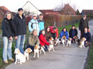 Beagle Gr&uuml;nkohl-Treffen in Barsinghausen